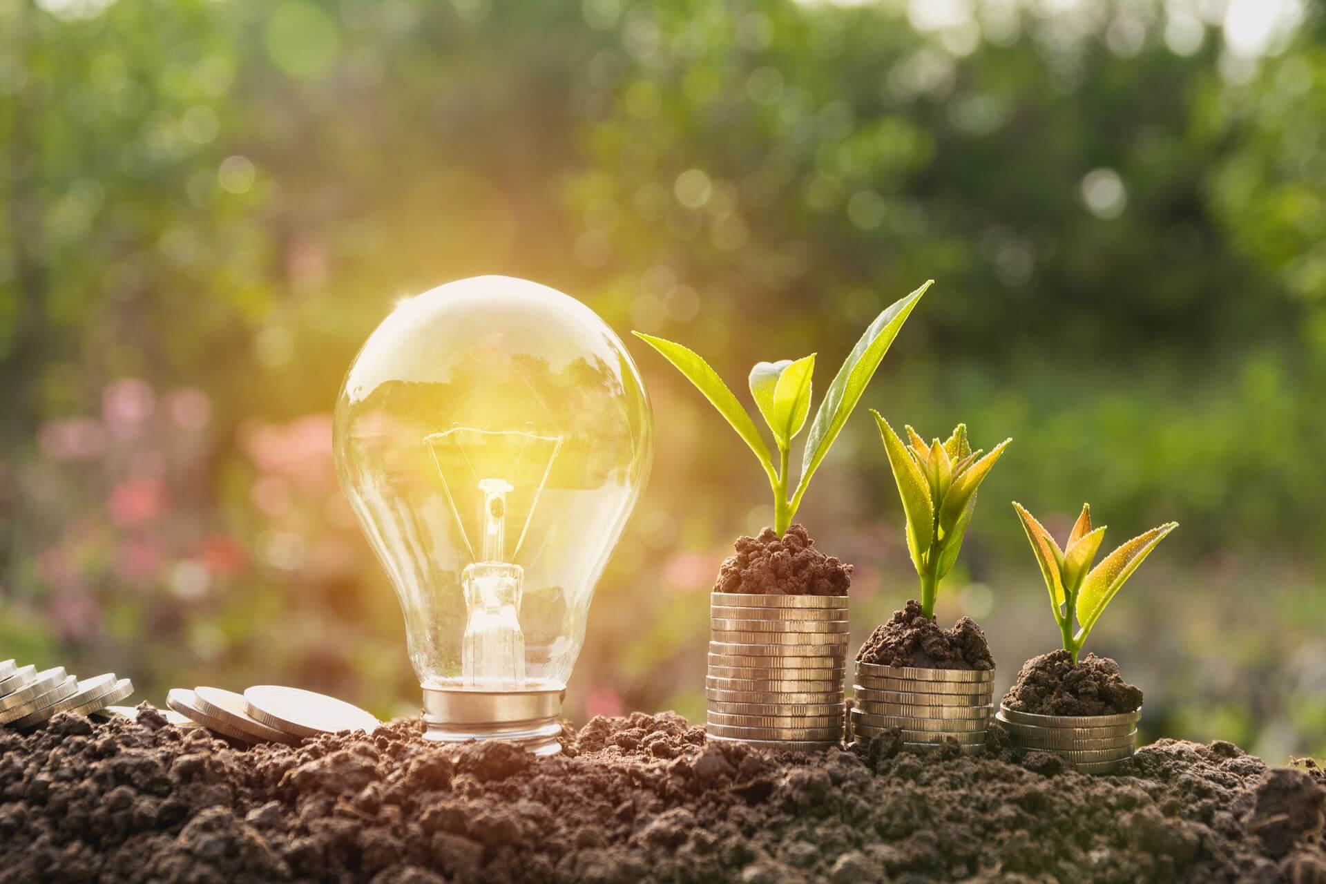Energy saving light bulb and plants